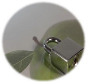 Formación - Materials aptos para el contacto con los alimentos Formación - Materials aptos para el contacto con los alimentos