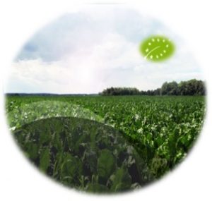 Formación - ecológico Formación - ecológico