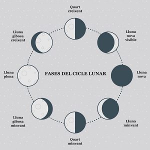 Fases ciclo lunar